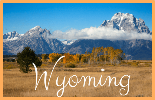 Wyoming EBT payment plan
