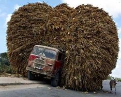 excess-information-blogging