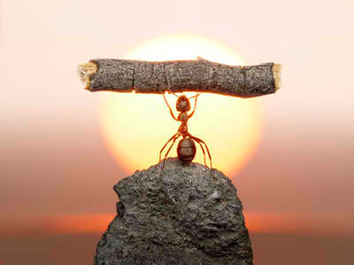  phrases to achieve success in life and business