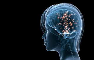 neurobrand