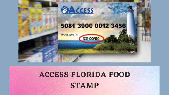 My Access Florida Food Stamps