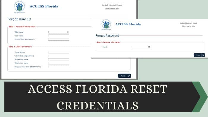 Access Florida Reset Credentials