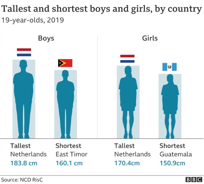 Understanding the Factors that Affect the Average Height of Men in Florida
